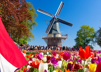 Blumenfelder Hollands – Keukenhof